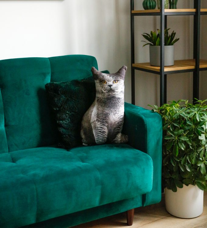 Cat Pillow - Image 5