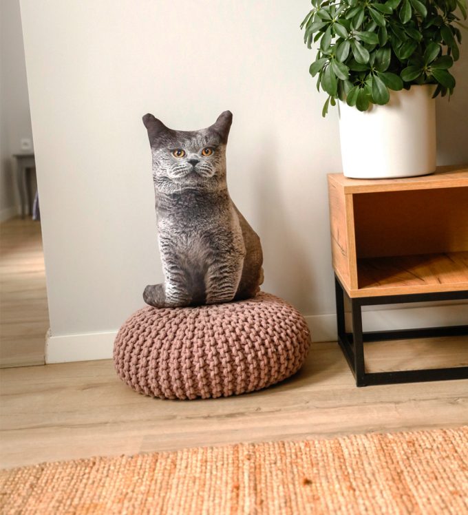 Cat Pillow - Image 2
